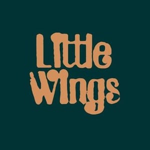 Little Wings