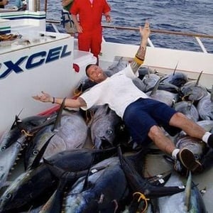 Lawrance Squig Quigley