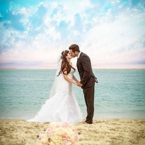 Tk Photographers Egypt