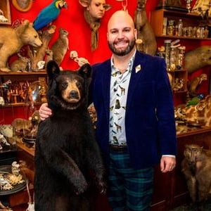 Taxidermy  Curiosities