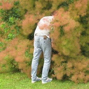 Christodoulos Panayiotou