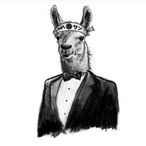 Llama Sannyc