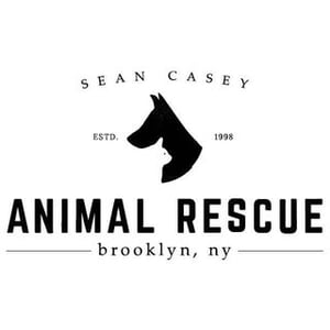Sean Casey Animal Rescue