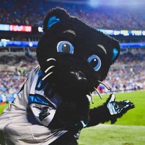 Sir Purr