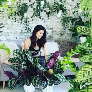 Mee Schmid Plantlady