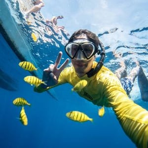 D A V I D  E D G A R