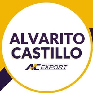 Alvaro Castillo
