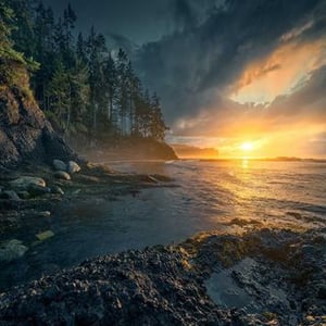 Christian Scheiffele