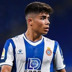 Nicolas Melamed Ribaudo