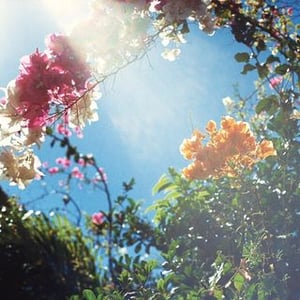 Christopher Ferguson