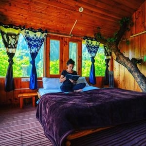 Whispering Pines Cottages