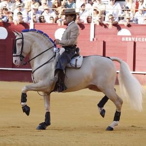 Diego Ventura