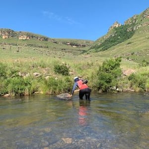 Nongcebo Vukile Mckenzie