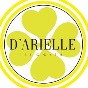 Darielle Lingerie audience summary Darielle Lingerie