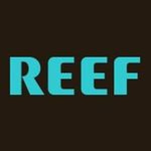 Reef Chile