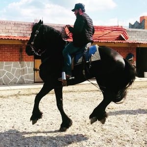 Arturo Roque Oficial