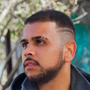 Stefan Werneck  Papillon