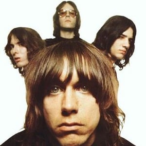 The Stooges/iggy Pop