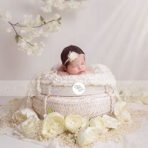 Sylvia B Fotografia Infantil