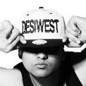Desi West audience summary Desi West