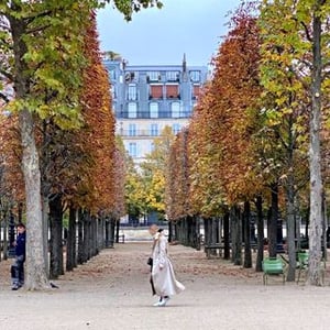 Daphne Paris Visuals