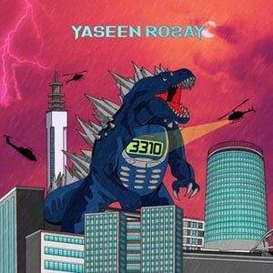 Yaseen Rosay
