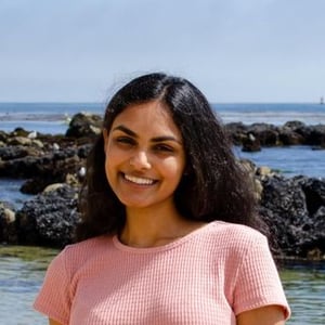 Upbeet Anisha audience summary Upbeet Anisha
