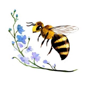 Linden Bee