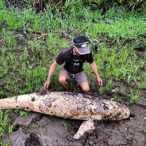 Fishing Guide Bangka