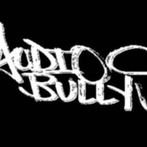 Audio Bullys