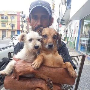 Antonio Salva Animais