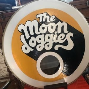 The Moondoggies