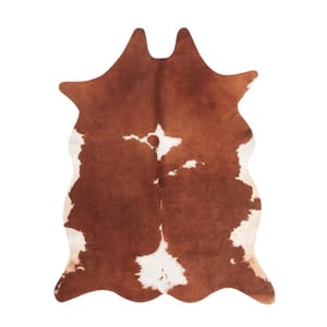 Western Interiors Are Everywhere Right Now The Handbook