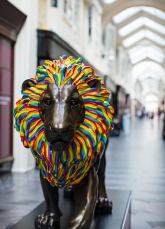 BA_Aug_21_World_Lion_Day_3