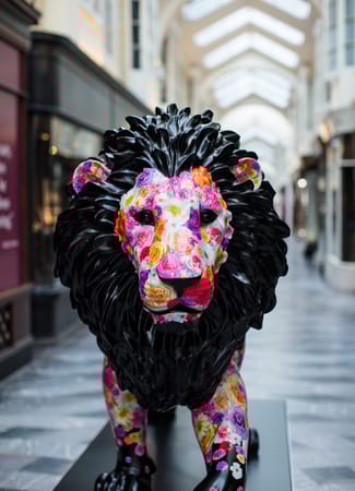 BA_Aug_21_World_Lion_Day_7