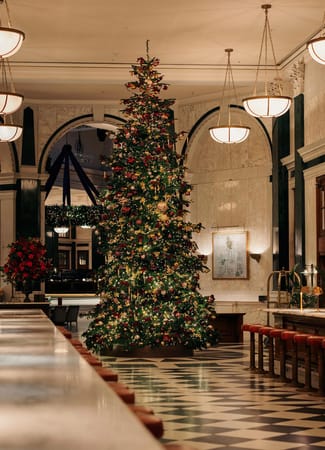 The Prettiest London Christmas Trees For 2023