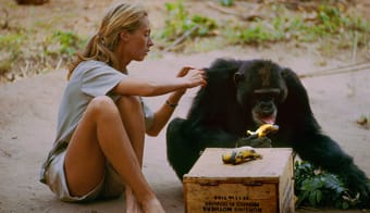 13 Of The Best Climate Change Documentaries To Watch This Earth Day