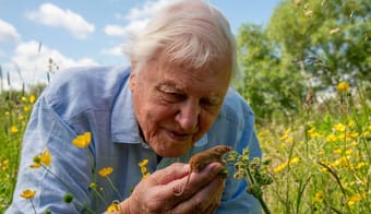 David Attenborough Returns With New Special, Wild London