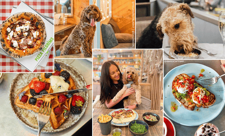 Best Dog Friendly Brunch Nyc
