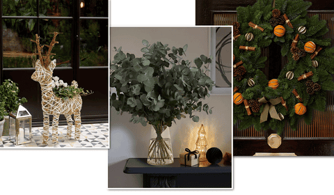 24 Affordable Christmas Flowers To Bring A Festive Touch To Your Home