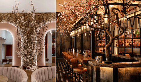 Cherry-Blossom resto cherry blossom season in london