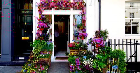 Belgravia-in-Bloom-2018-2-1-1280x667