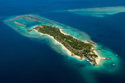 OZEN RESERVE BOLIFUSHI - Island Aerial 3 ozen collection ariel