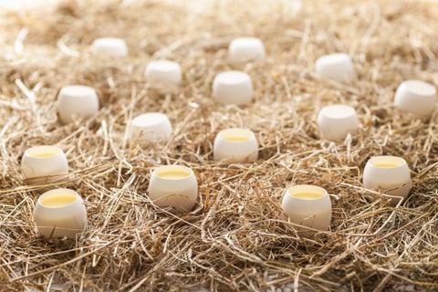 What To Do This Easter Weekend: 24th - 28th March
