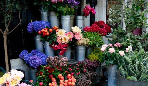 nikki-tibbles-wild-at-heart-florist-image-1 Nikki Tibbles Wild at Heart at Liberty London - london flower shops