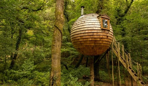 lost meadow treepod 1