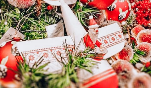 9 Of The Best Places To Buy Your Christmas Tree This Year The Handbook