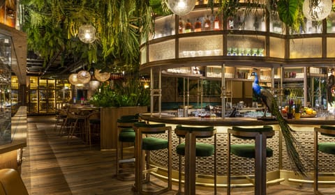 191106_Amazonico19739 amazonico - restaurants with live music, restaurants with live music london, restaurants with music london, live music restaurants london, restaurants with live music