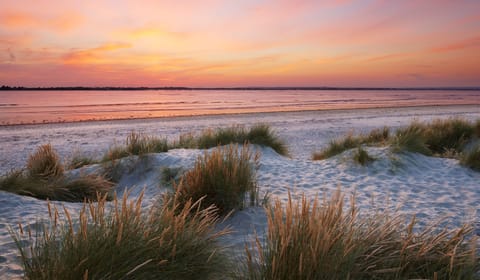 Sand dunes at East Head, West Wittering. A sand and shingle spit located at the entrance to Chichester Harbour