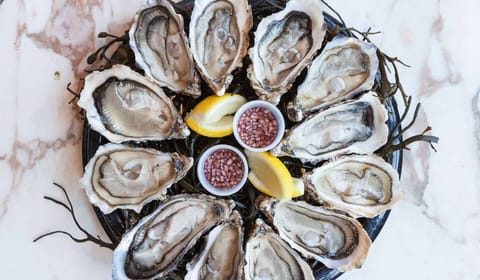 wright brothers £1 oysters at wright brothers battersea